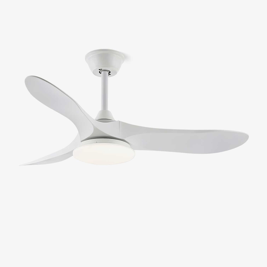 Ventilateur de Plafond Novavent avec Lumière