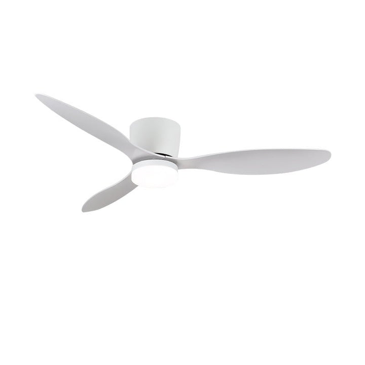 Ventilateur de Plafond Minimaliste Knox avec Lumière