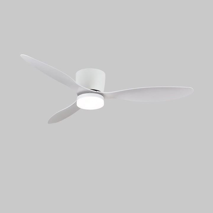 Ventilateur de Plafond Minimaliste Knox avec Lumière