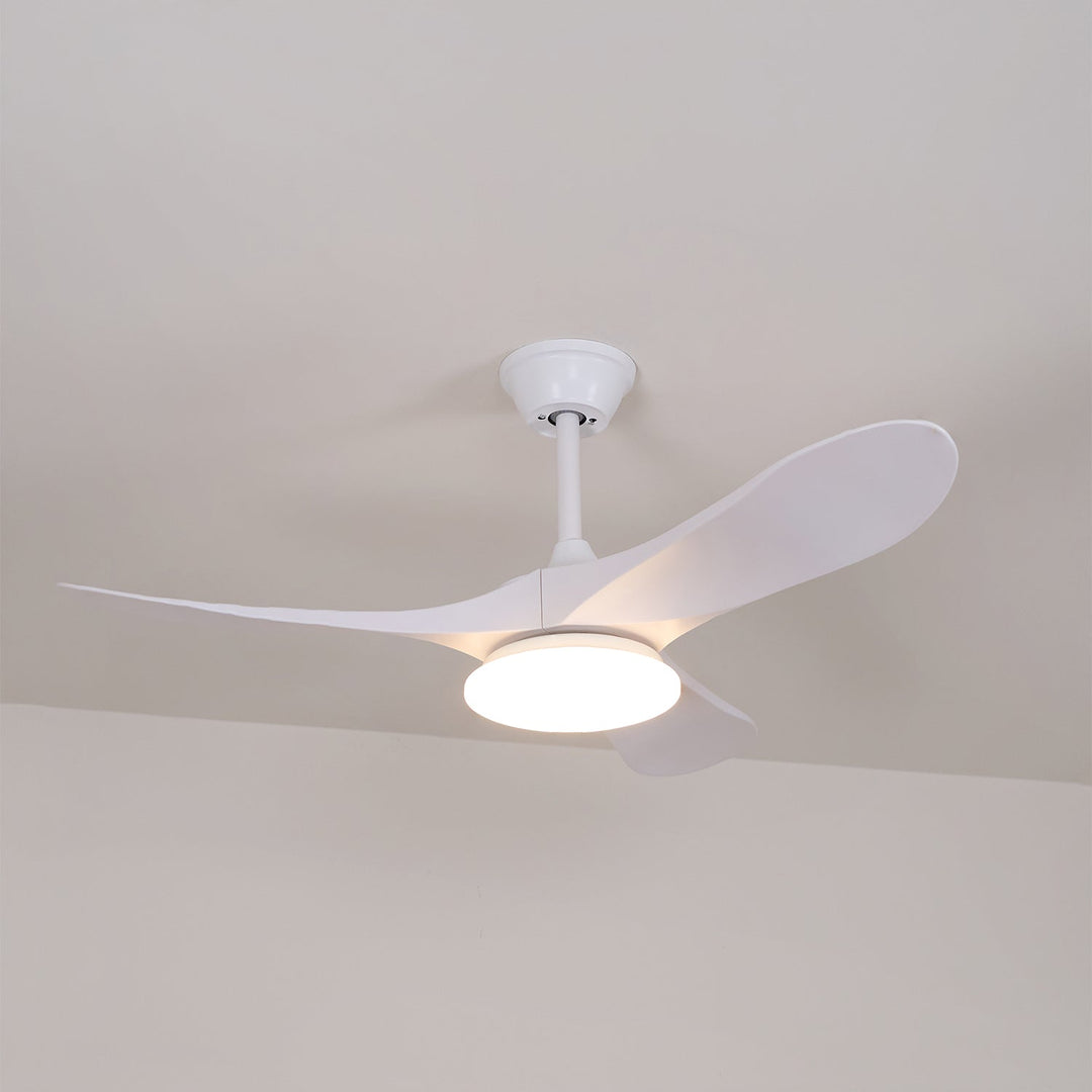 Ventilateur de Plafond Novavent avec Lumière
