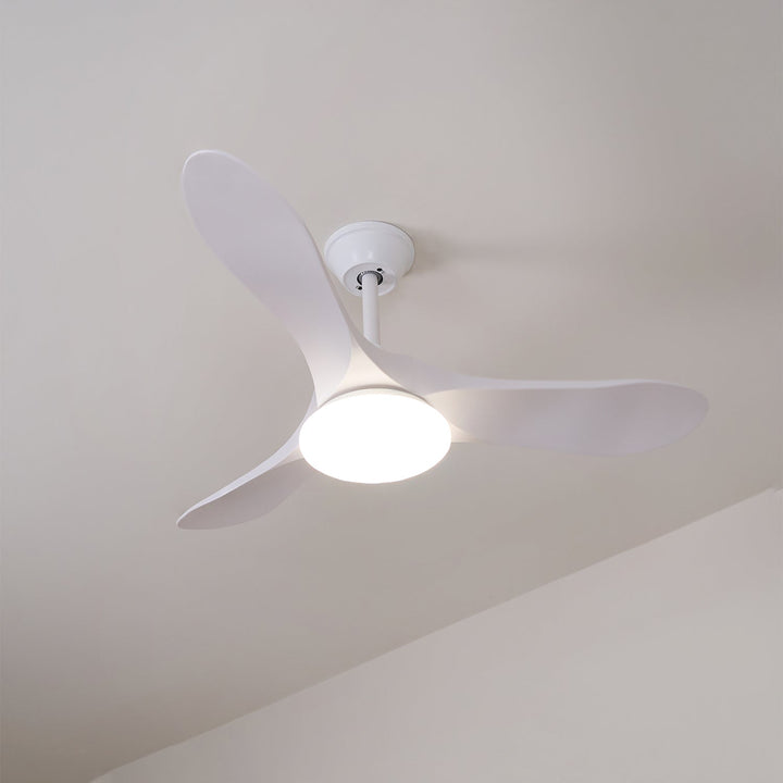 Ventilateur de Plafond Novavent avec Lumière