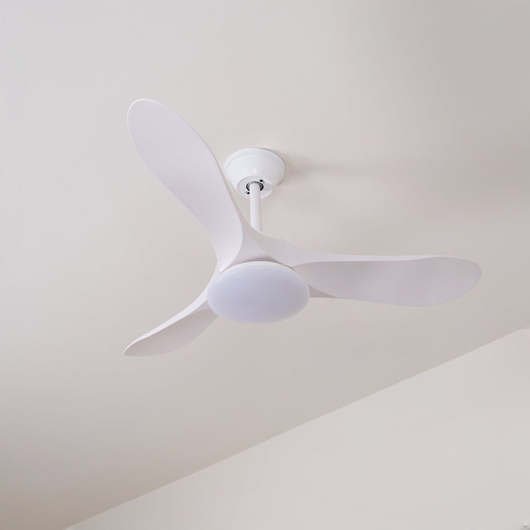 Ventilateur de Plafond Novavent avec Lumière