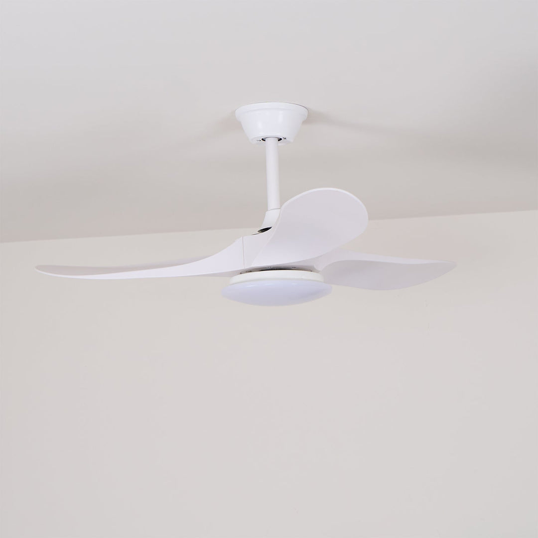 Ventilateur de Plafond Novavent avec Lumière