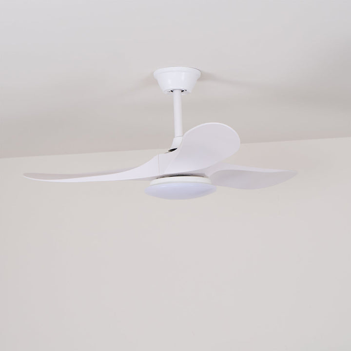 Ventilateur de Plafond Novavent avec Lumière