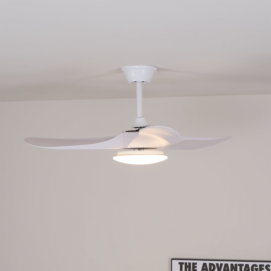 Ventilateur de Plafond Novavent avec Lumière