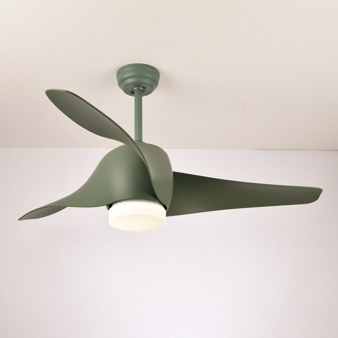 Ventilateur de Plafond Umber avec Lumière