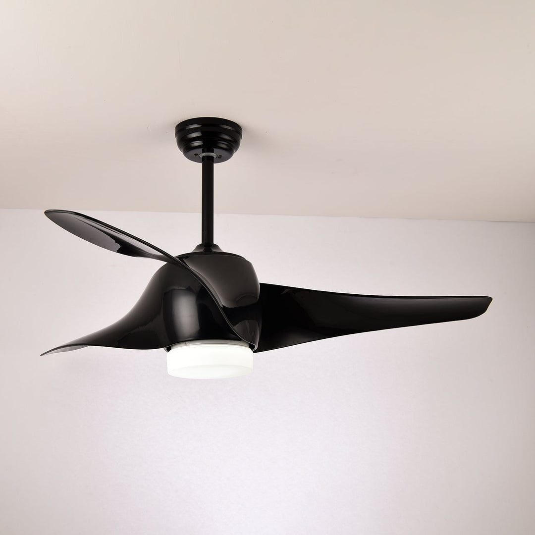 Ventilateur de Plafond Umber avec Lumière