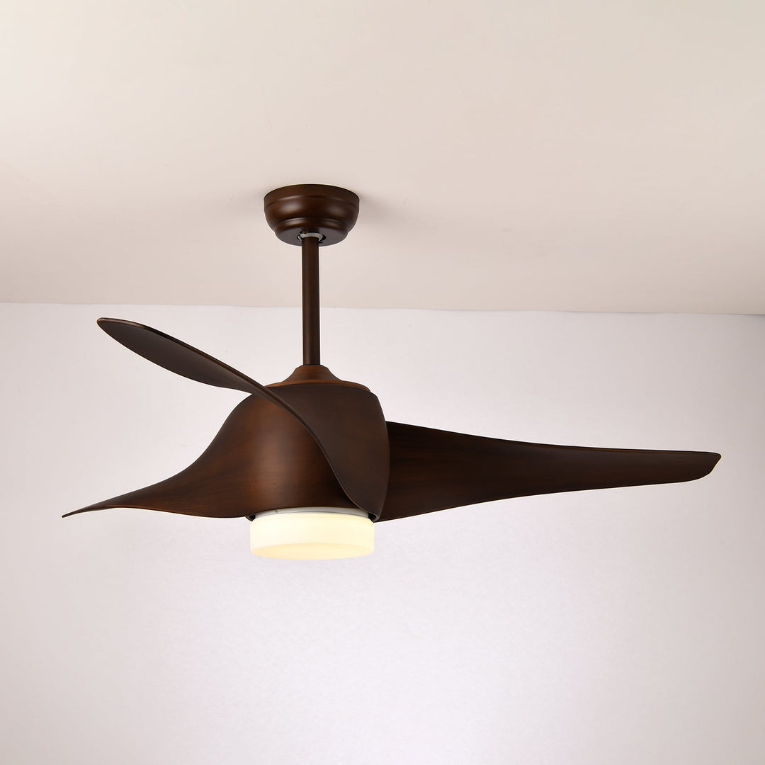 Ventilateur de Plafond Umber avec Lumière