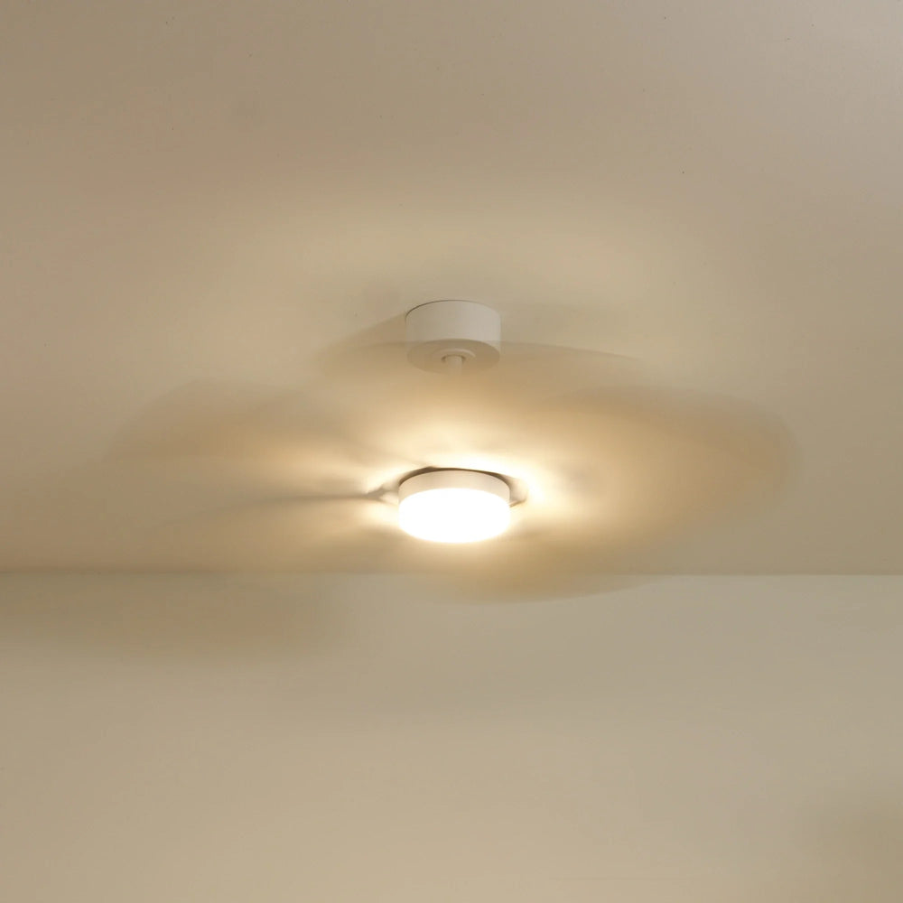 Dahlia teinté Chêne — Ventilateur de plafond design