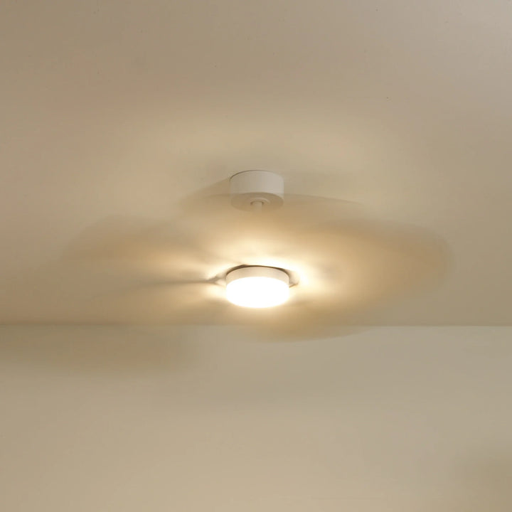Dahlia teinté Chêne — Ventilateur de plafond design