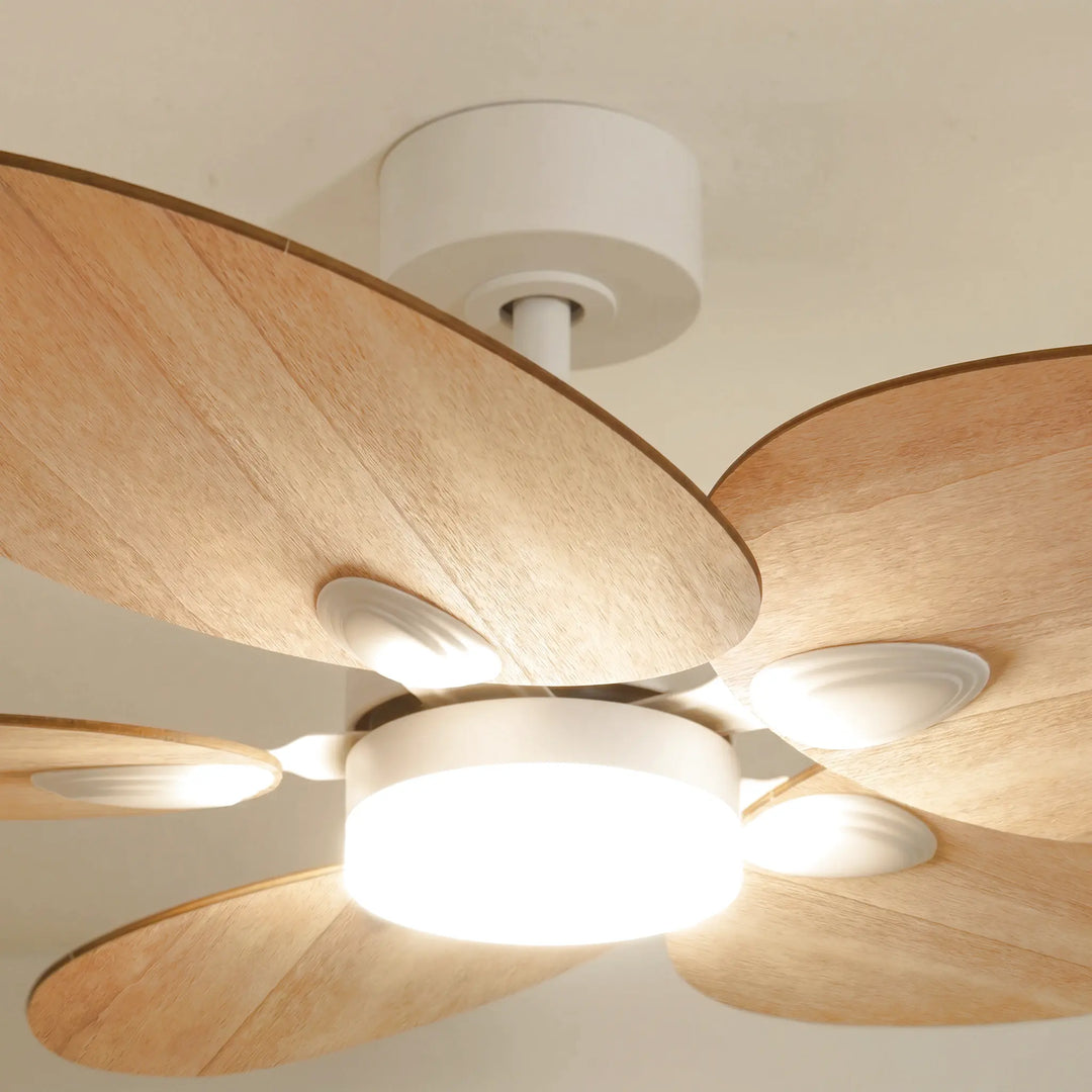 Dahlia teinté Chêne — Ventilateur de plafond design