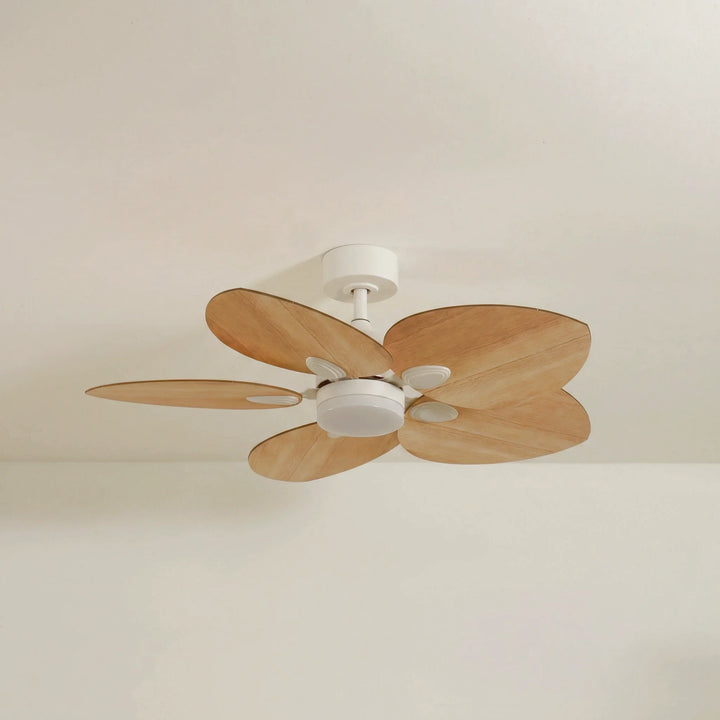 Dahlia teinté Chêne — Ventilateur de plafond design