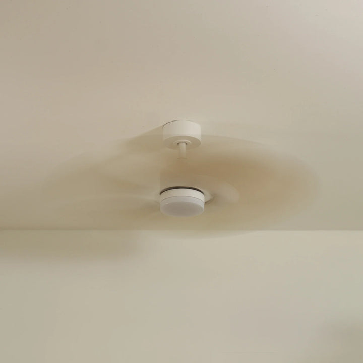 Dahlia teinté Chêne — Ventilateur de plafond design