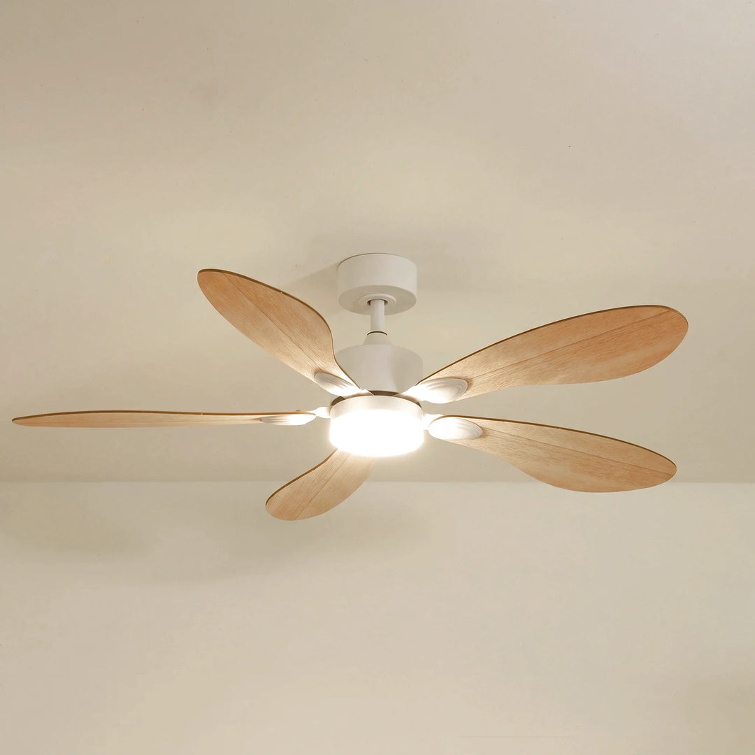 Libellule teinté Chêne — Ventilateur de plafond design