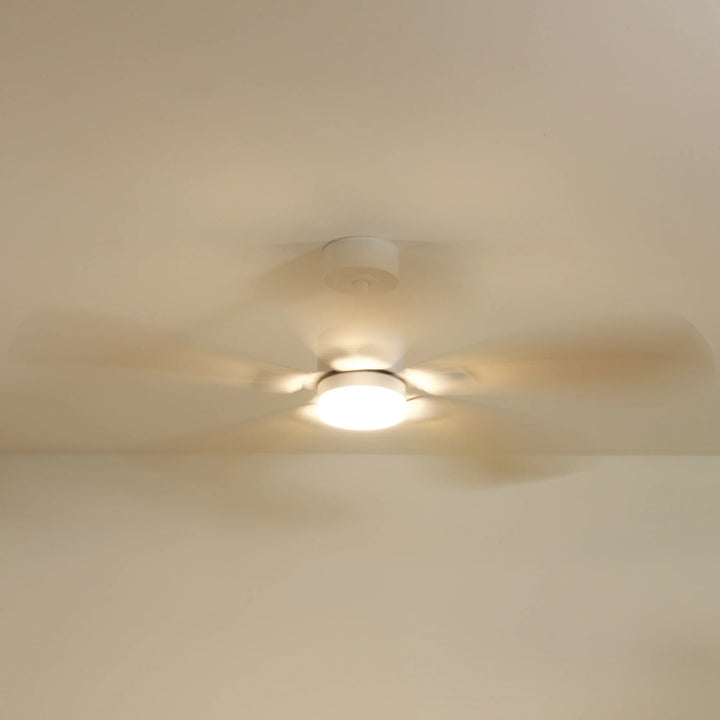Libellule teinté Chêne — Ventilateur de plafond design