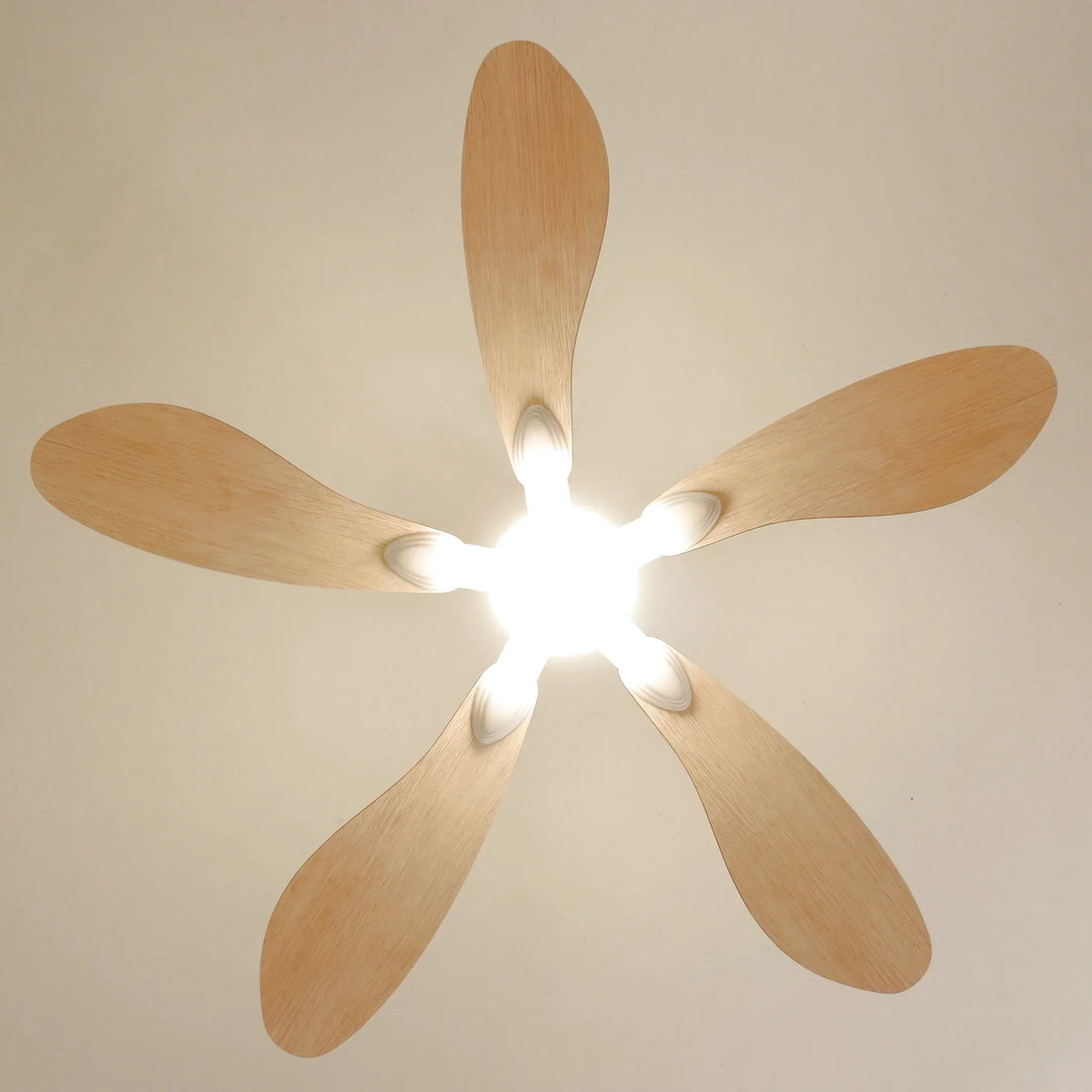 Libellule teinté Chêne — Ventilateur de plafond design