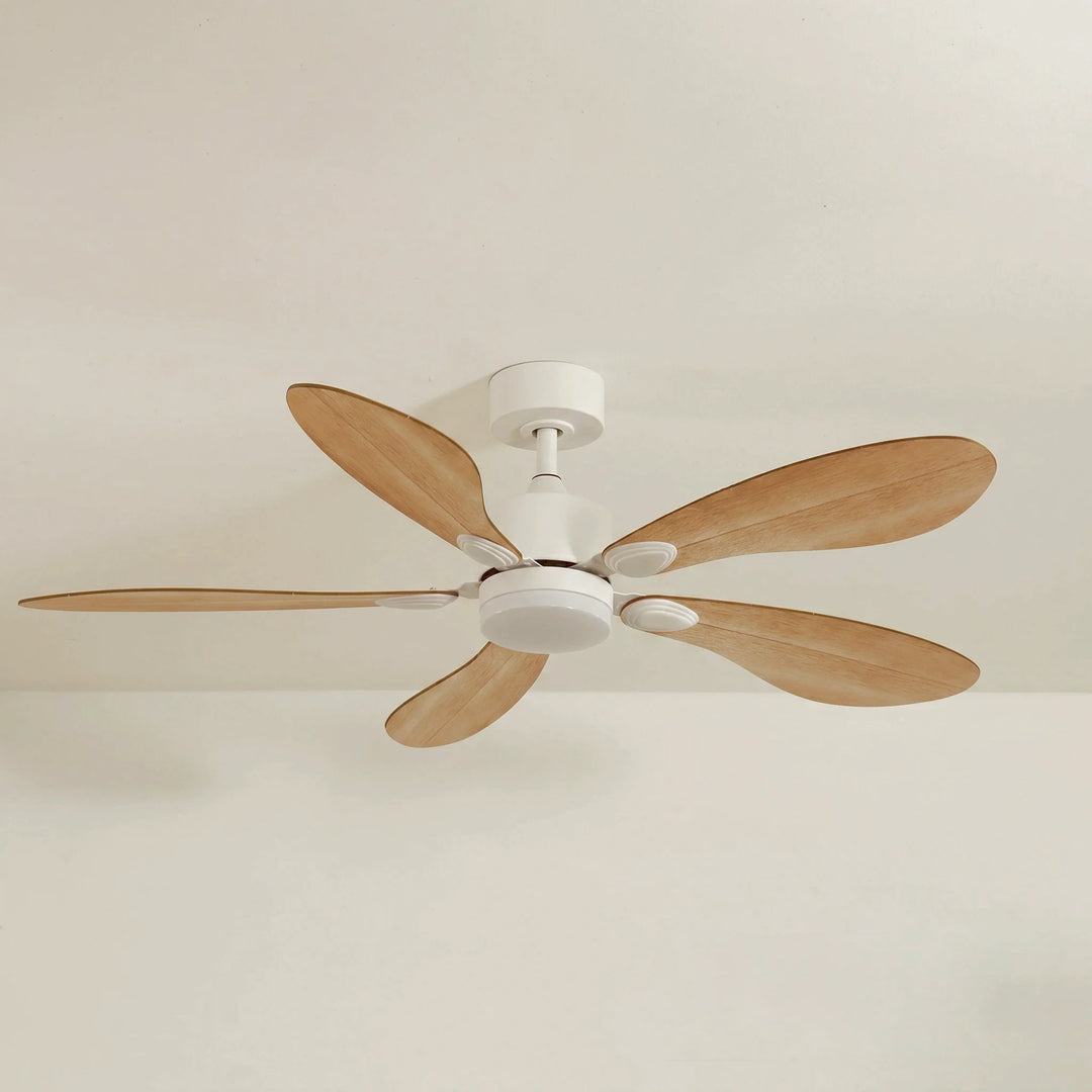 Libellule teinté Chêne — Ventilateur de plafond design