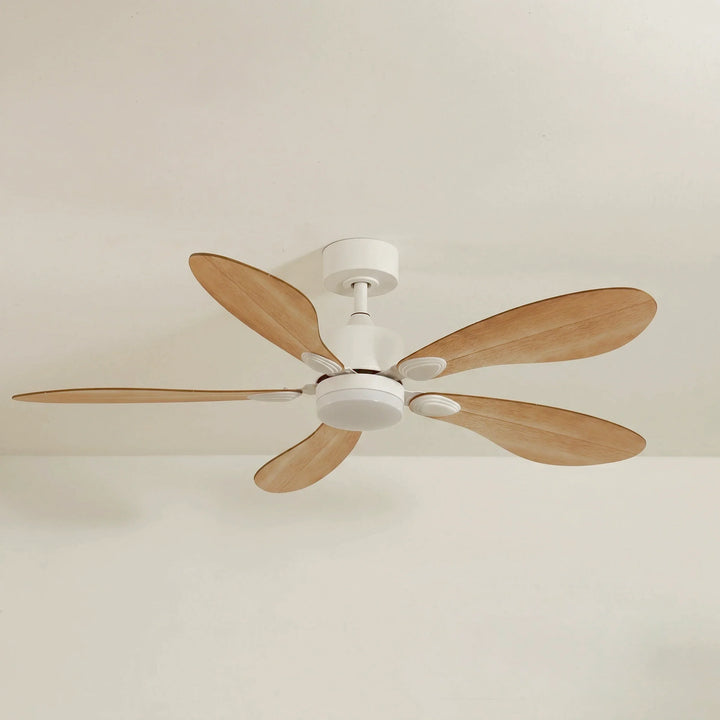 Libellule teinté Chêne — Ventilateur de plafond design