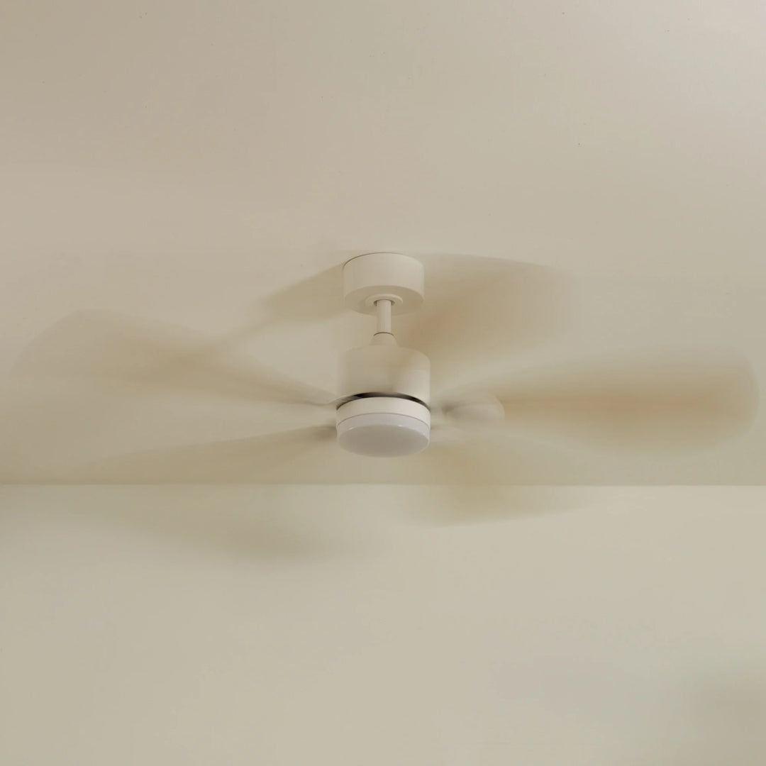 Libellule teinté Chêne — Ventilateur de plafond design