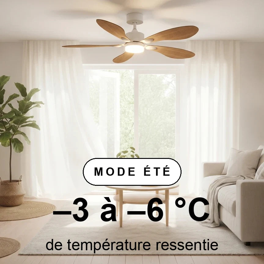 Libellule teinté Chêne — Ventilateur de plafond design