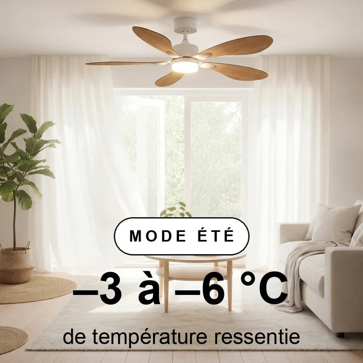 Libellule teinté Chêne — Ventilateur de plafond design