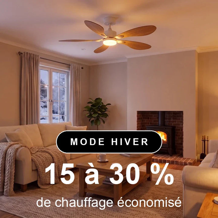 Libellule teinté Chêne — Ventilateur de plafond design