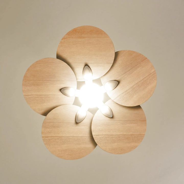 Lotus teinté Chêne — Ventilateur de plafond design