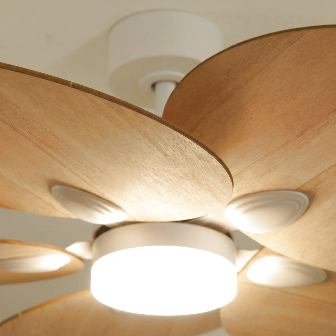 Lotus teinté Chêne — Ventilateur de plafond design