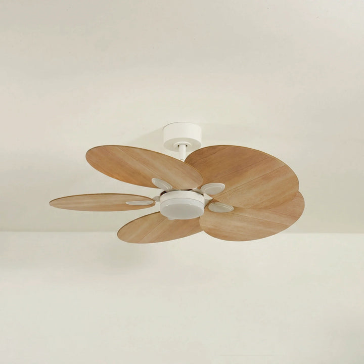 Lotus teinté Chêne — Ventilateur de plafond design