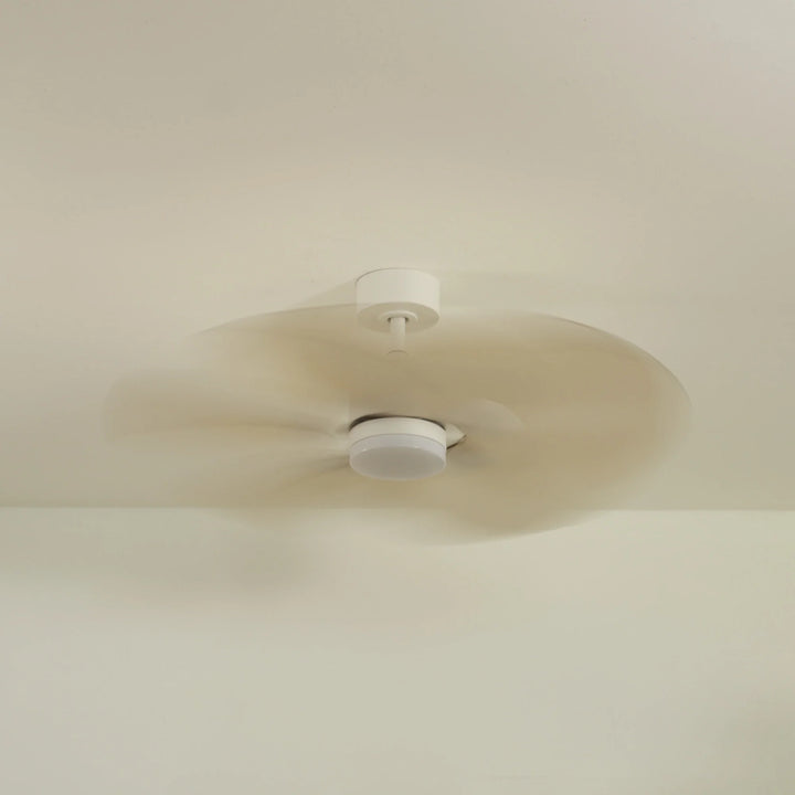Lotus teinté Chêne — Ventilateur de plafond design