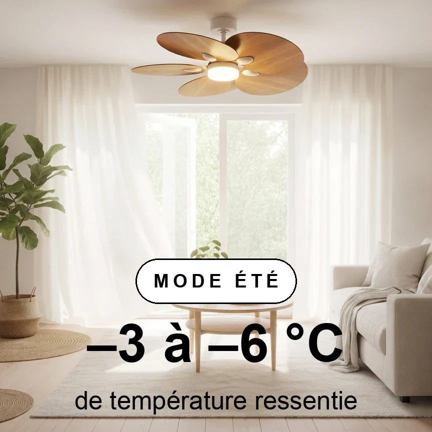 Lotus teinté Chêne — Ventilateur de plafond design