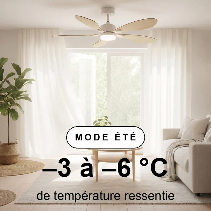 Libellule — Ventilateur de plafond design