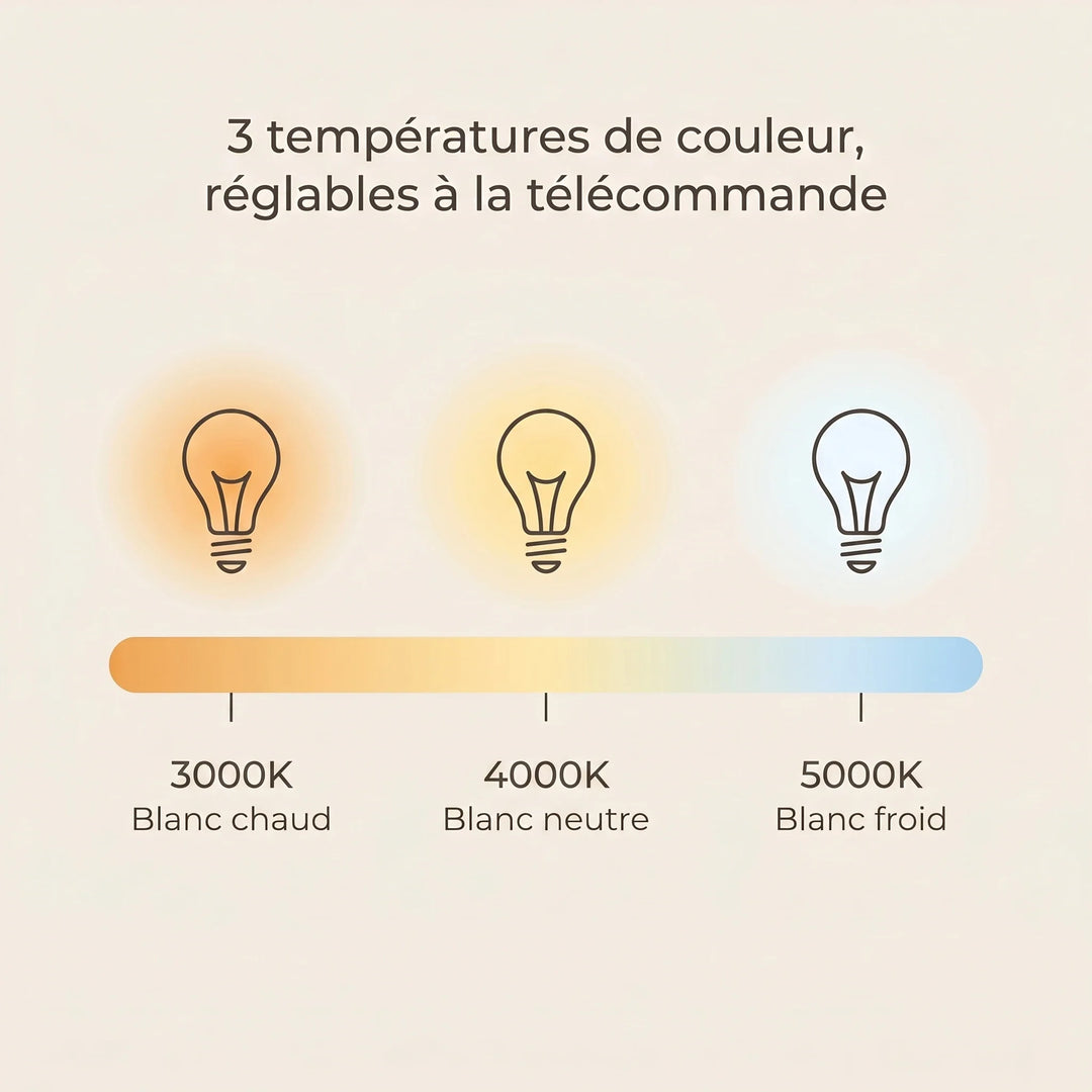 Libellule — Ventilateur de plafond design