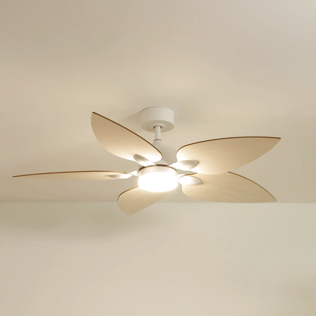 Virevole — Ventilateur de plafond design
